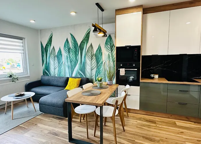 Apartamenty Debowa 10