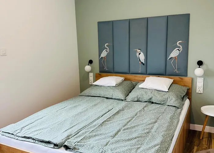Apartamenty Debowa 10
