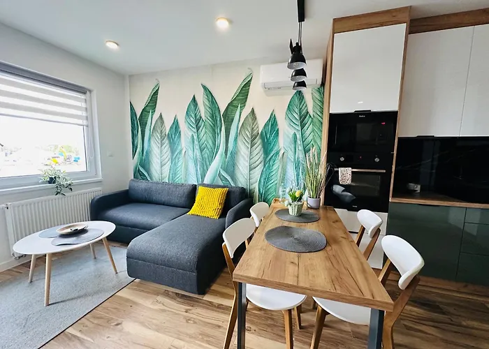 Apartamenty Debowa 10